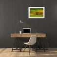 thumbnail image 3 of Cantemir, Mandru 24x17 White Modern Wood Framed Museum Art Print Titled - A Colorful Day, 3 of 4