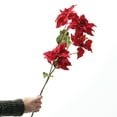 thumbnail image 3 of 29"H Sullivans Artificial Red Poinsettia Spray, 3 of 4