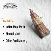 Dr. Killigans Premium Pantry Moth Traps with Pheromones Organic, 6, Black