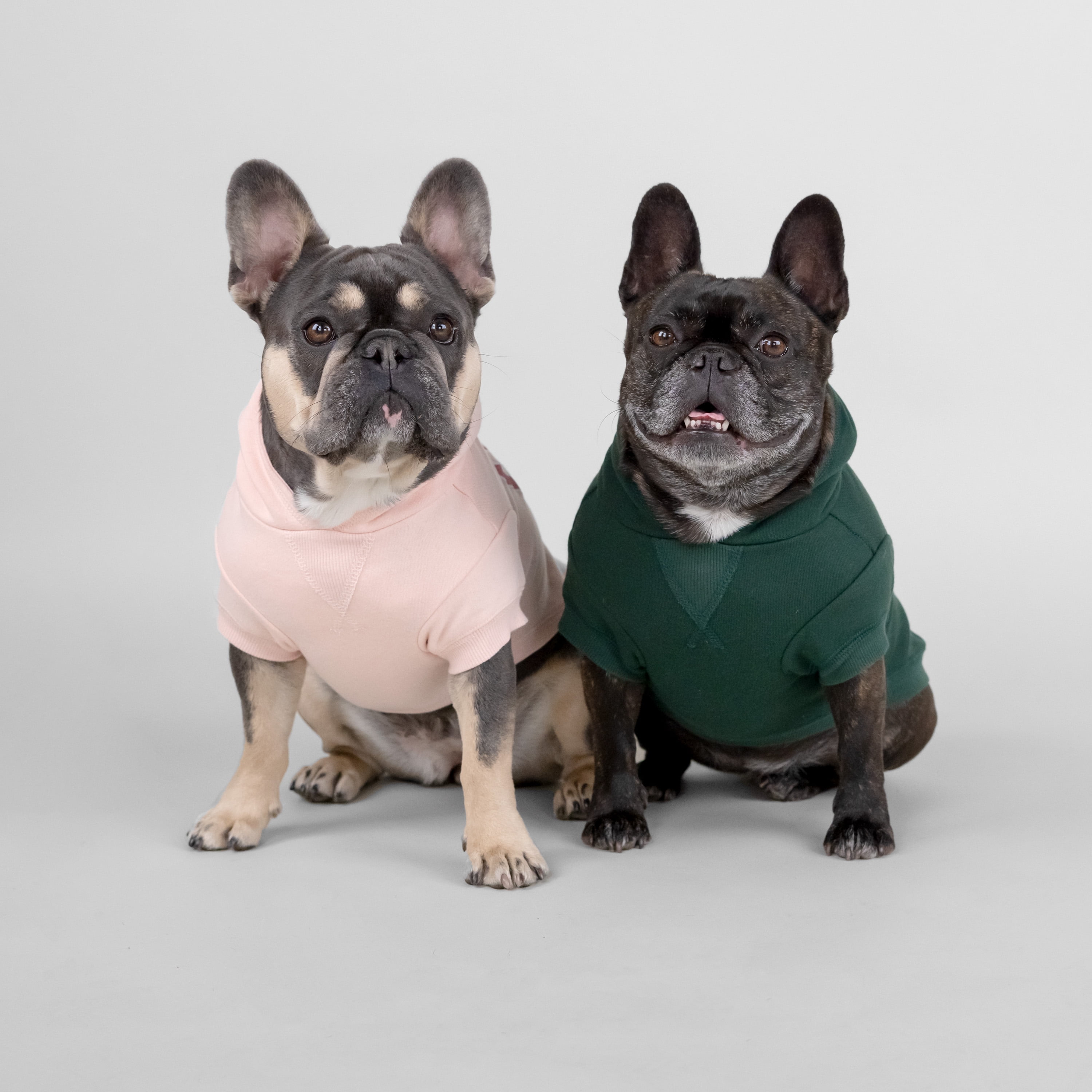 Gap Pet Dog and Cat Clothes, Classic Gap Logo Pet Hoodie, Pink