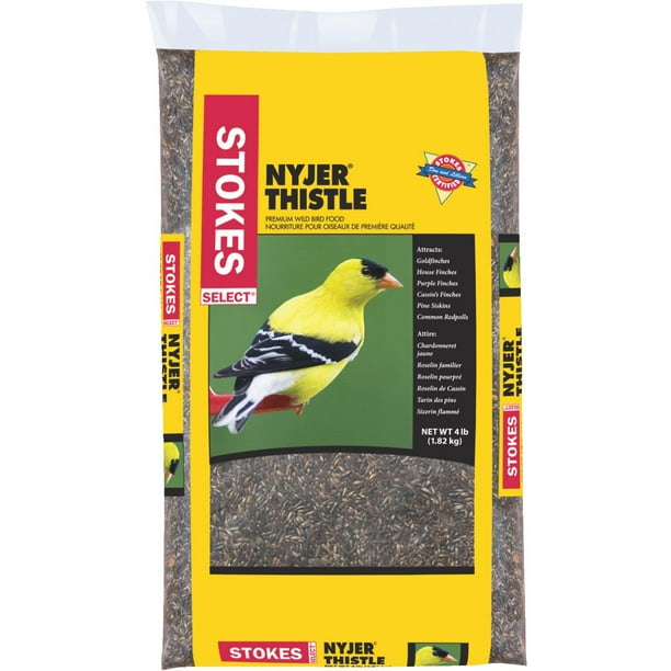 Stokes Select 4 Lb. Nyjer Thistle Wild Bird Seed 594