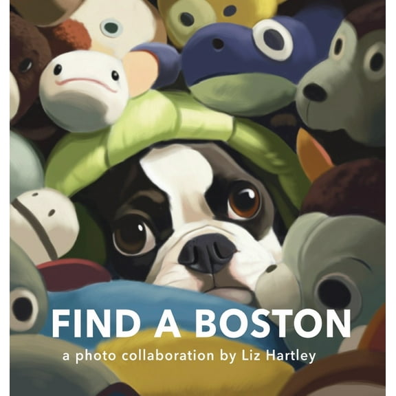 Find a Boston, (Hardcover)