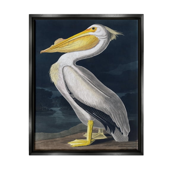 Stupell Industries Pelican on Night Shore Animals & Insects Painting Black Floater Framed Canvas Art Print Wall Art, 17 x 21