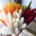 thumbnail image 3 of Wosthever 15 Pieces Small Dried Flower Wedding Anniversary Decoration Bedroom Birthday Celebration Props Engagement Dormitory Kits de decoración para fiestas No.6, 3 of 6