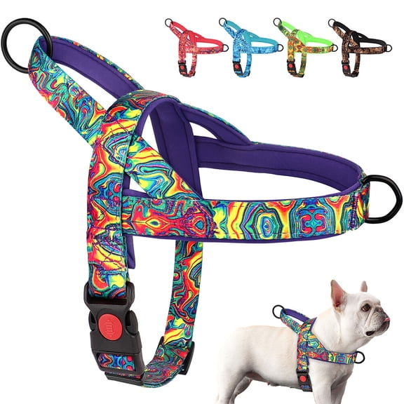 Didog Non-Pulling Nylon Dog Harness with Soft Padded Handle Front Leading Safety Escape Proof Quick Fit Buckle,Adjustable Pet Strap Vest, Easy for Walking,Vibrant colors