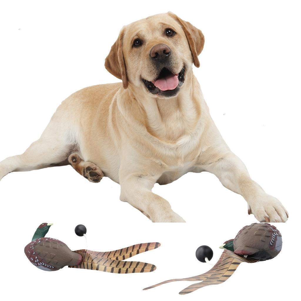 NANMELX Dogs Toy Duck Outdoor Dog Training Toy Jump Hunt Training Dog Retrieving Toy Interactive Pet Training Toy Puppy Supplies