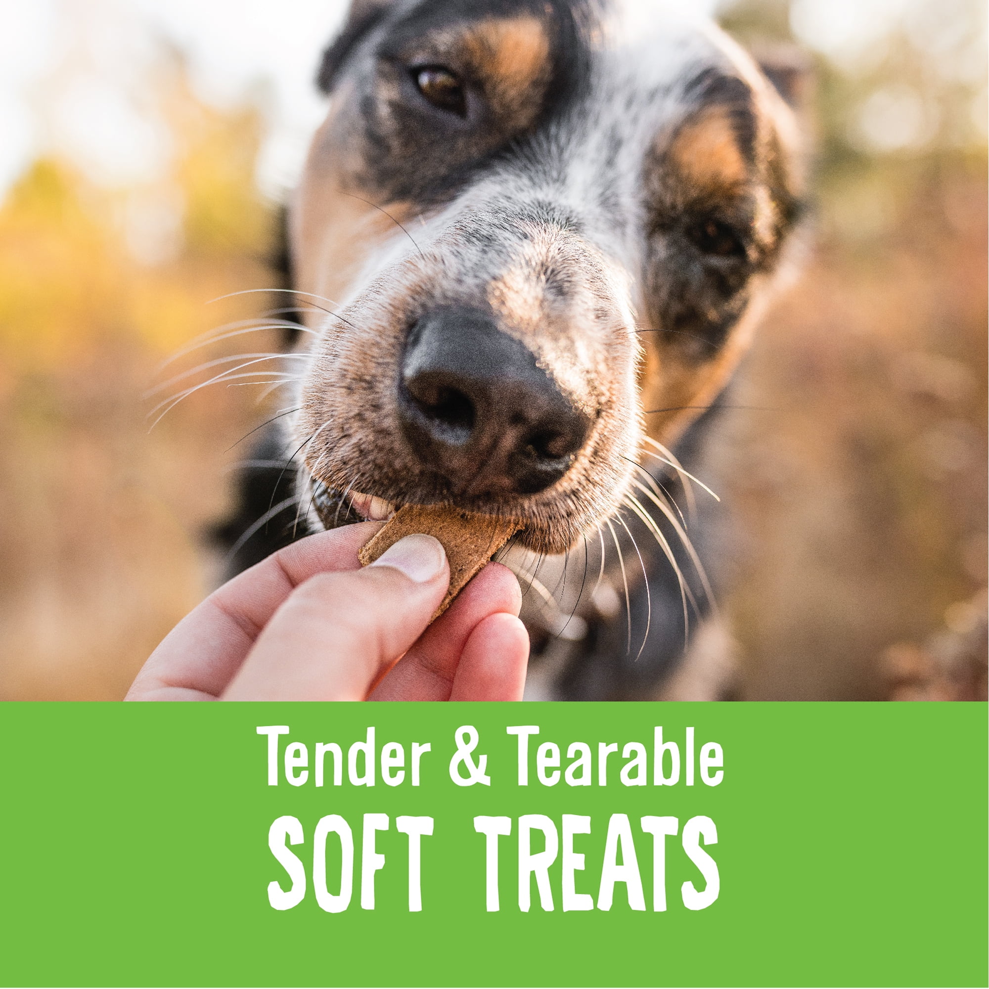 Good Dog By Wellness Training Rewards Soft Treats for Dogs Chicken