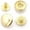 Gold, variant on 10 Pack Snap Fasteners Color Plated Solid Brass Metal Snaps Heavy Duty Press Stud S-Spring Poppers Button VT8#831 (15 mm, Gunmetal Black)