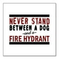 thumbnail image 1 of DistinctInk Custom Bumper Sticker - 3" x 3" Decorative Decal - White Background - Never Stand Between Dog & Fire Hydrant, 1 of 2