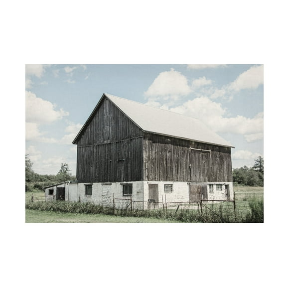 Elizabeth Urquhart 'Weathered IV' Canvas Art