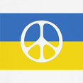thumbnail image 3 of CafePress - Pray For Peace In Ukraine Baseball Jersey - Kids Cotton Baseball Jersey, 3/4 Sleeve Shirt, 3 of 4