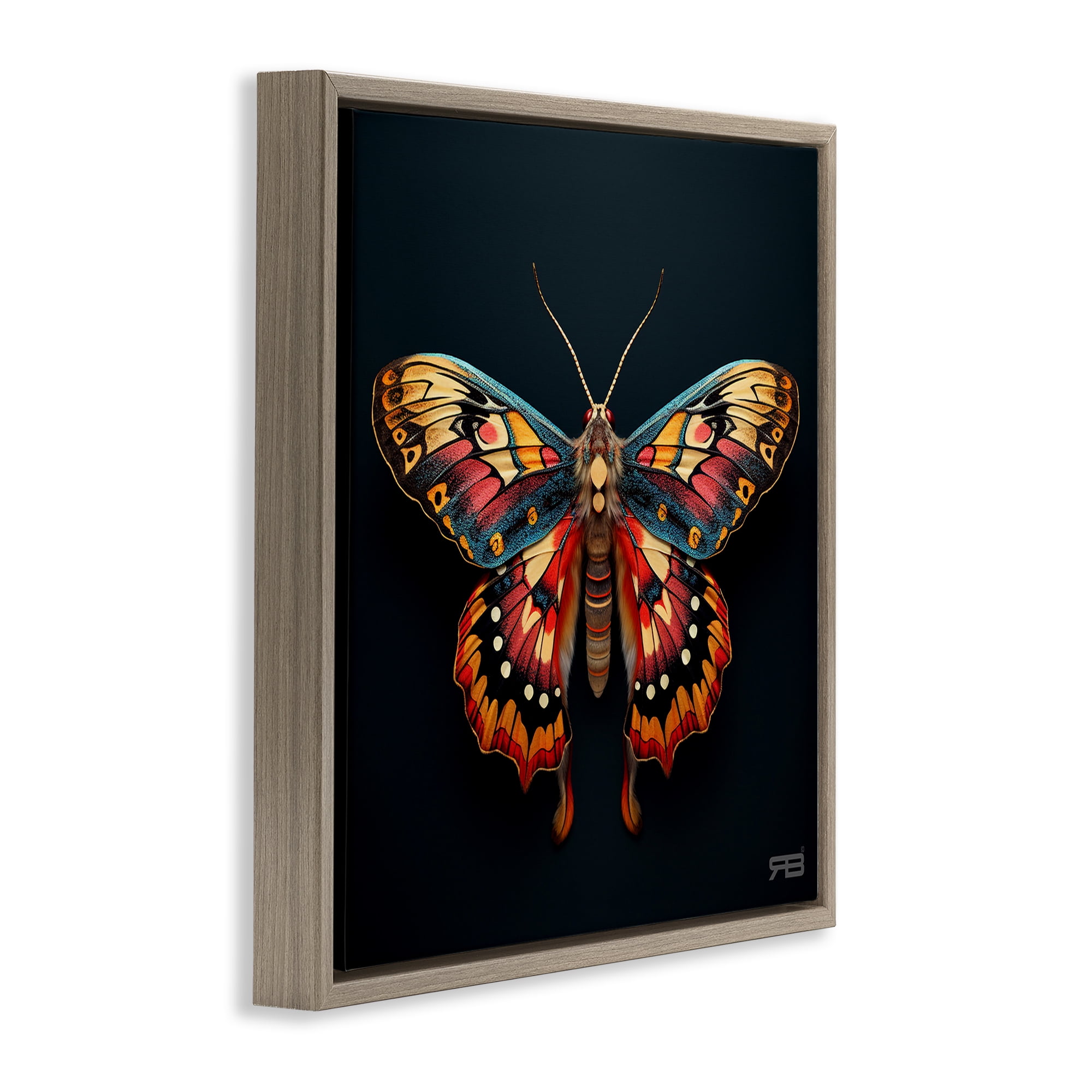 Stupell Industries Vivid Patterned Moth Animals & Insects Painting Brown Floater Framed Canvas Art Print Wall Art, 18 x 18