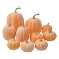 thumbnail image 2 of 7 Pcs Assorted Sizes Fall Artificial Pumpkins Harvest Pumpkins Faux Foam Pumpkins for Fall Autumn Season Halloween Thanksgiving Harvest Holiday Season Festive Tabletop Decoration (E), 2 of 9