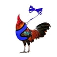 thumbnail image 1 of Arnés de pollo con correa, ajustable, resistente, cómodo, transpirable, arnés para mascotas pequeñas para pato, ganso, gallina, perros pequeños M, 1 of 5