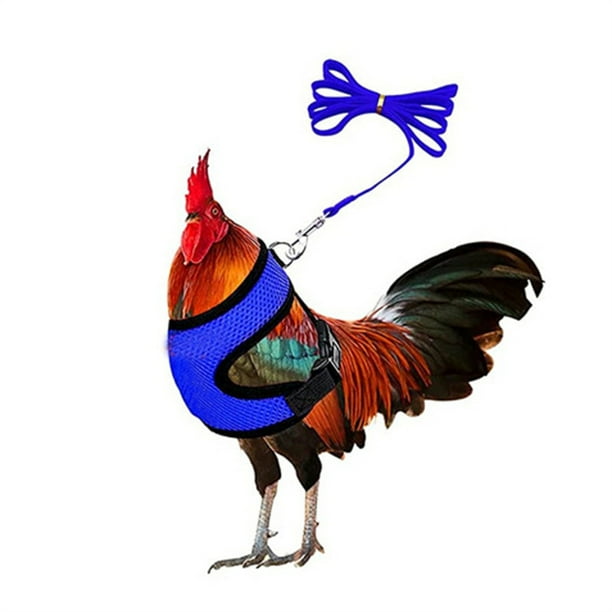 Arnés de pollo con correa, ajustable, resistente, cómodo, transpirable, arnés para mascotas pequeñas para pato, ganso, gallina, perros pequeños M
