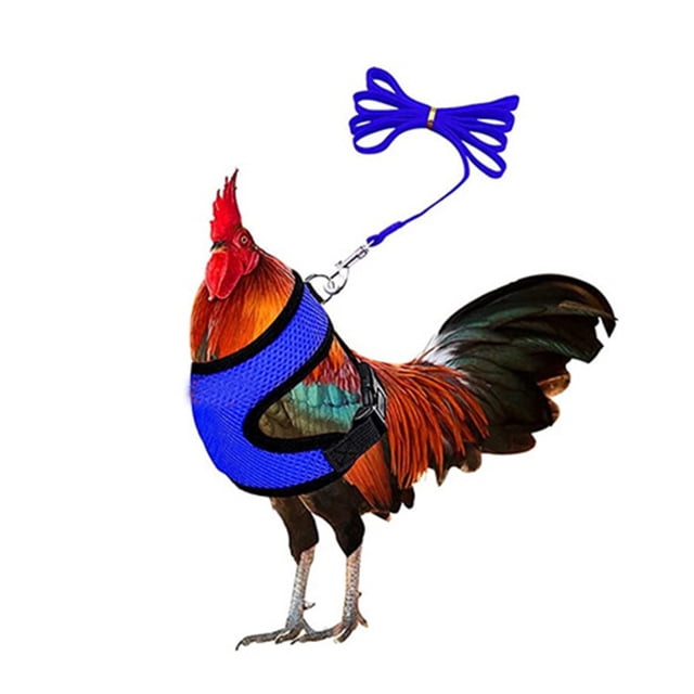 Arnés de pollo con correa, ajustable, resistente, cómodo, transpirable, arnés para mascotas pequeñas para pato, ganso, gallina, perros pequeños M