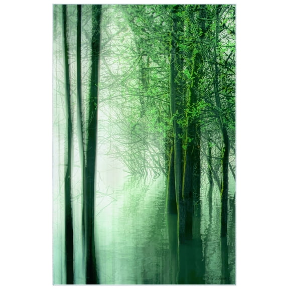 Forest in The Lake Washable Green Art Area Rug size 5'x8', Power-loomed, Heavenly Softness with Non-Slipping Backing