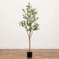 thumbnail image 7 of Nearly Natural 5ft. Artificial Olive Tree with Natural Trunk, 7 of 7