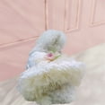 thumbnail image 5 of HQREA Girl Dog Harness Dresses, Puppy Party Birthday Wedding Tulle Princess Vest Skirt, 5 of 6
