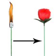 thumbnail image 1 of Antorcha a rosa (1 unidad) Truco de magia de fuego Flor que aparece en llamas Accesorios para magos profesionales Magia mentalismo para espectáculos de novias/bodas o calles, 1 of 5