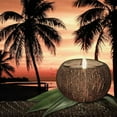 thumbnail image 6 of 4X Can Pouring Candle Coconut Shell Bowl,Coconut Shell,Coconut Wood Bowl, Decoration Bowl,Storage Bowl, 6 of 10
