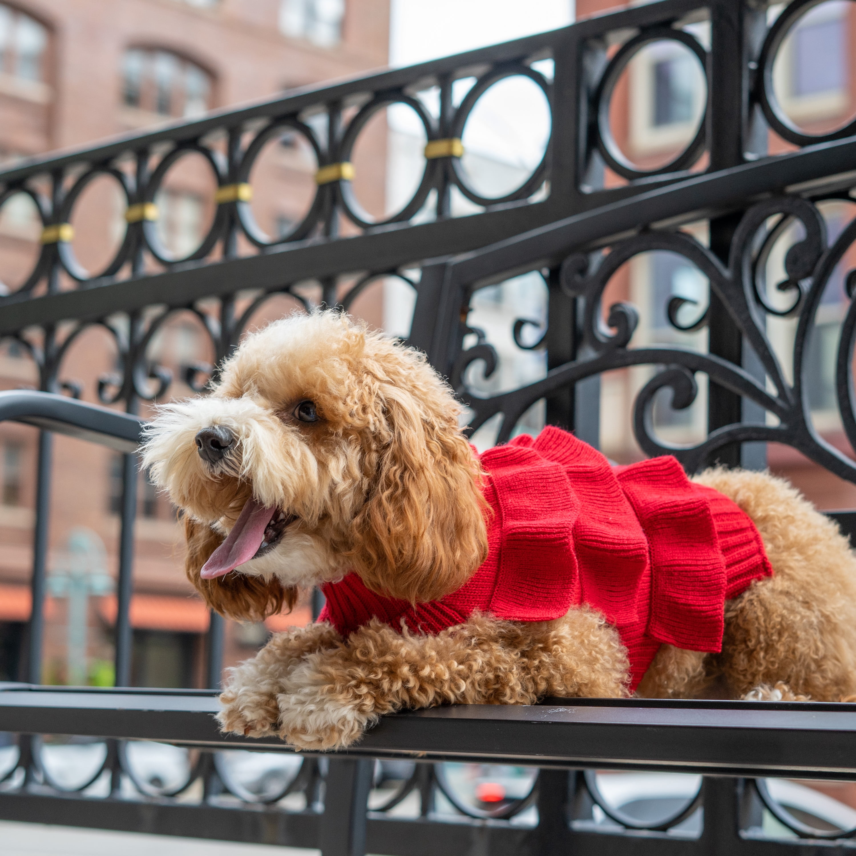 Christian Siriano, Dog Clothes Ruffle Dog or Cat Sweater, Red, S