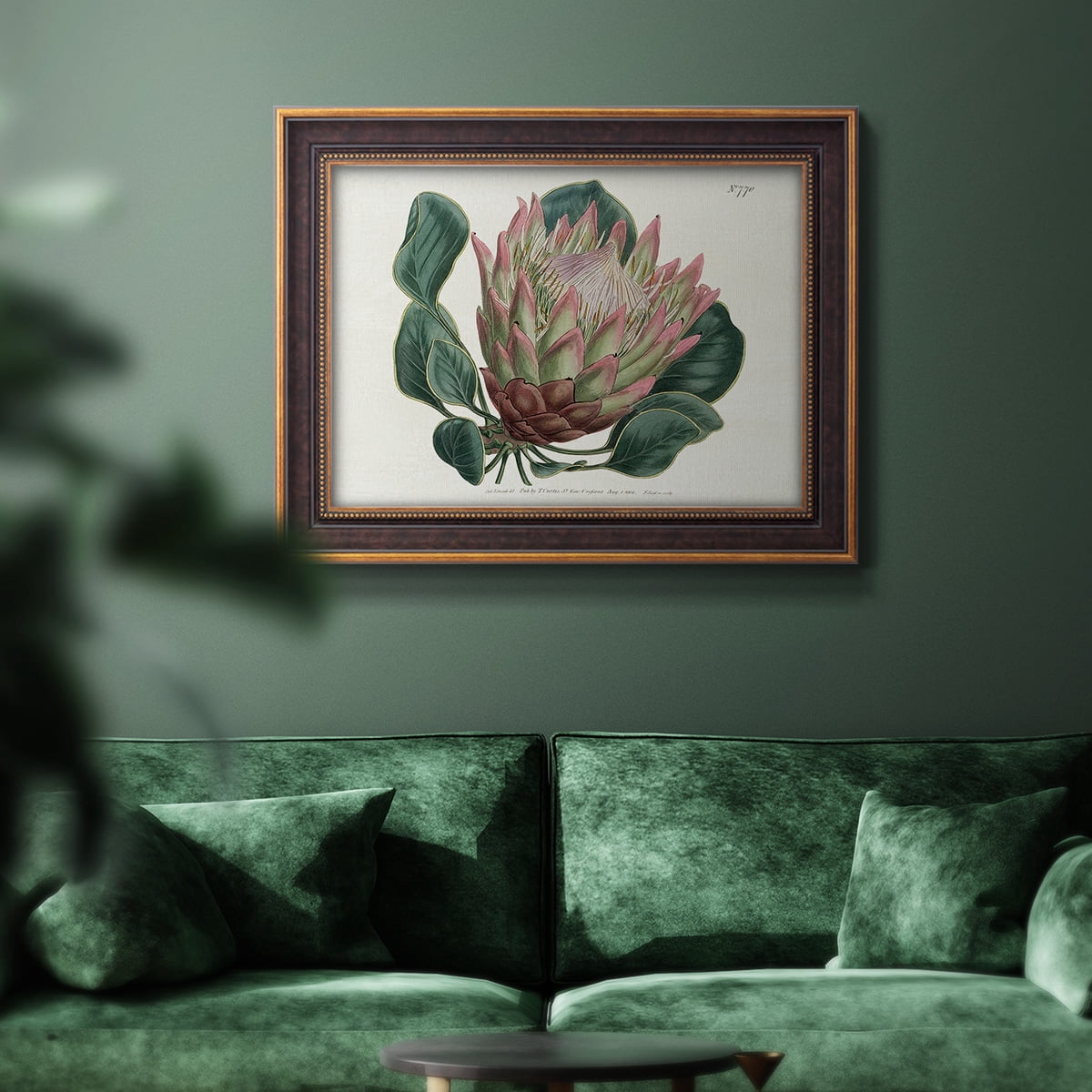 Protea N70 Premium Framed Canvas- Ready to Hang