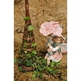 thumbnail image 2 of Peter Pan English Ivy - 2.5" Pot - Terrarium/Fairy Garden/House Plant, 2 of 2