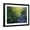 Black Frame, variant on Art.com Elkmount Area, Great Smoky Mountains National Park, Tennessee, USA Photographic Print by Darrell Gulin, 16" x 12"