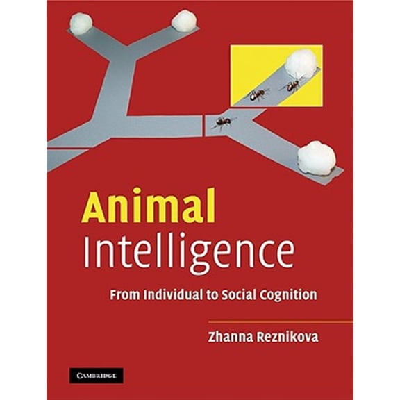 Pre-Owned Animal Intelligence: From Individual to Social Cognition, (Paperback)