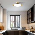 thumbnail image 3 of Dimmable Modern Mid-Century Ceiling Light, Black and Gold LED Semi Flush Mount Ceiling Light, 5CCT 2700K-6000K Lighting Fixture Ceiling Lamp with Gla, 3 of 8