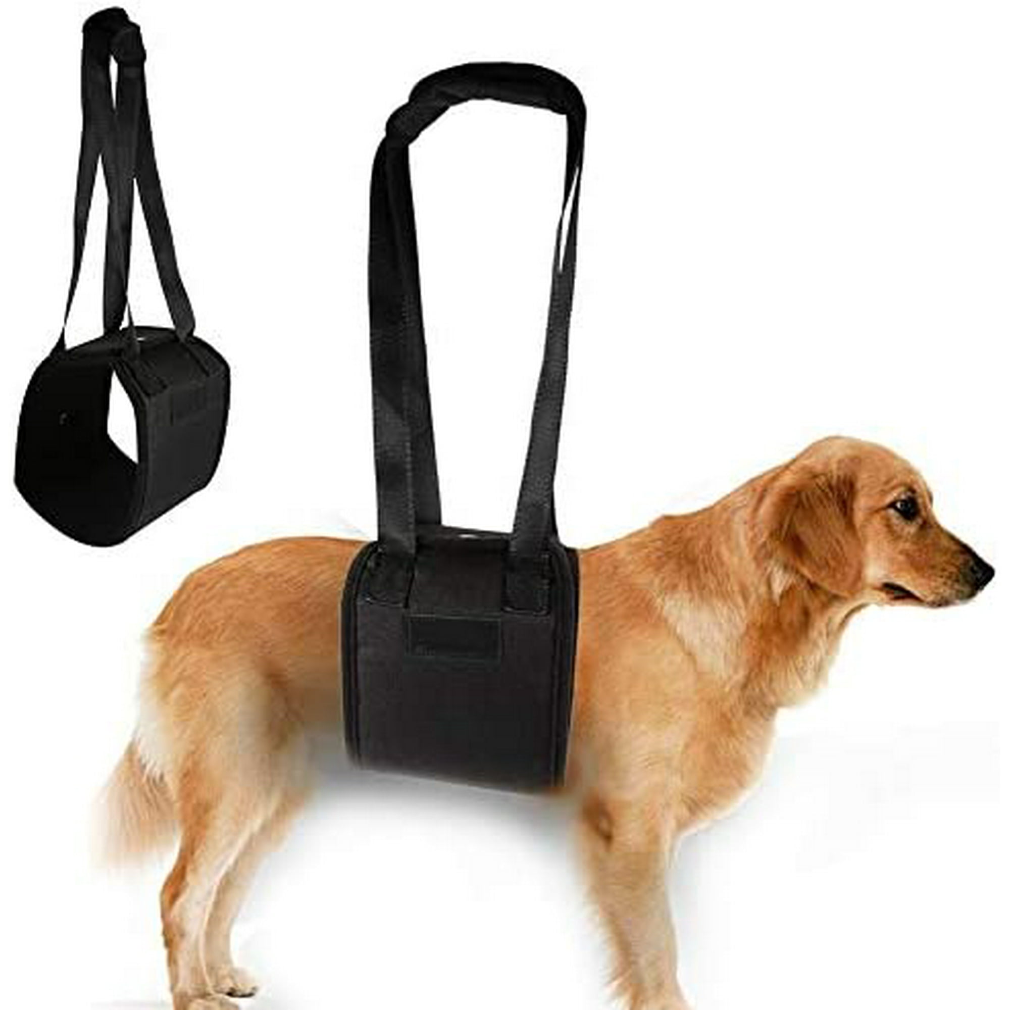 Queto Dog Lift Harness Adjustable Dog Support Sling Aid Mobility And Rehabilitation Harness For Senior Injured Disabled Joint Injuries Dogs Walk Xl X
