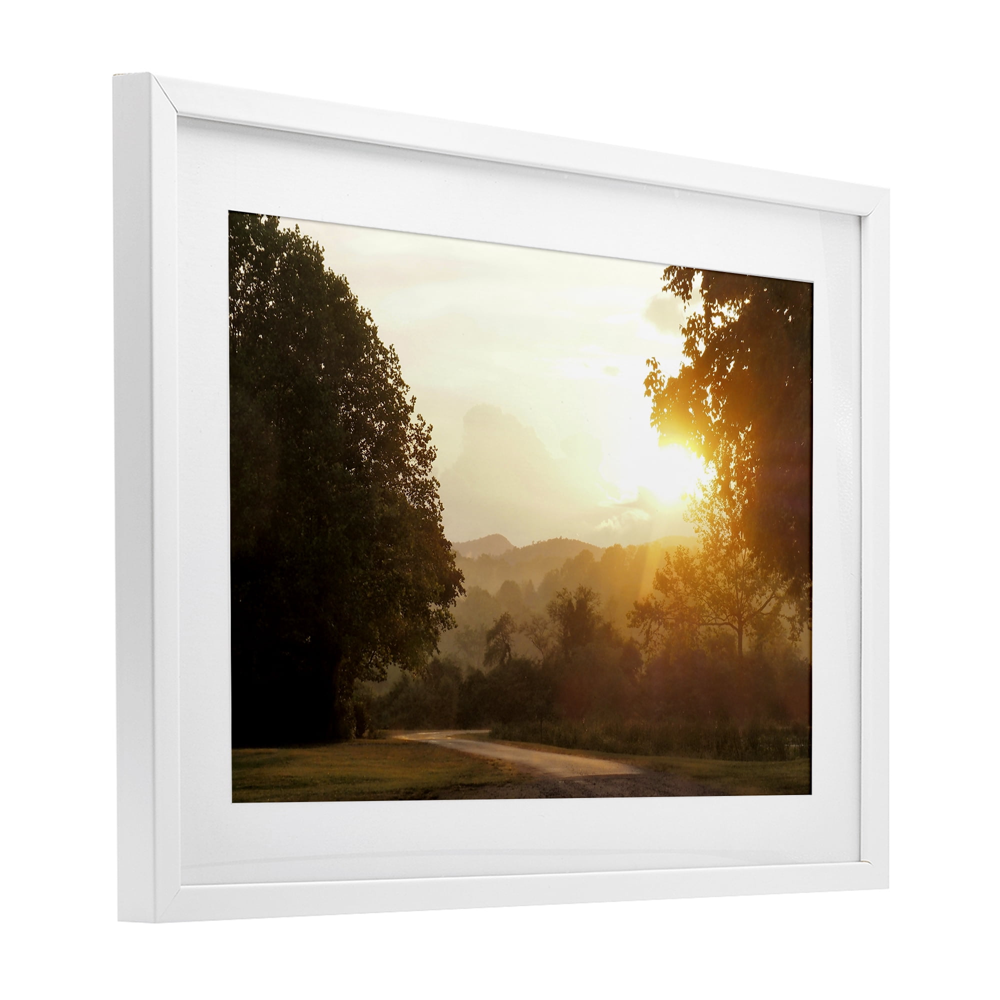 Stupell Industries Golden Morning Between Trees White Framed Print Under Glass, design by Gail Peck