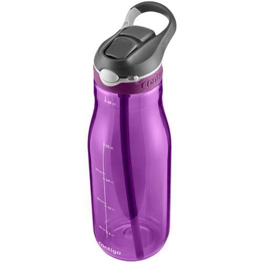 Contigo 24 oz Radiant Orchid Plastic Ashland Autospout Straw Water Bottle  BPA Free, 1 - Pay Less Super Markets
