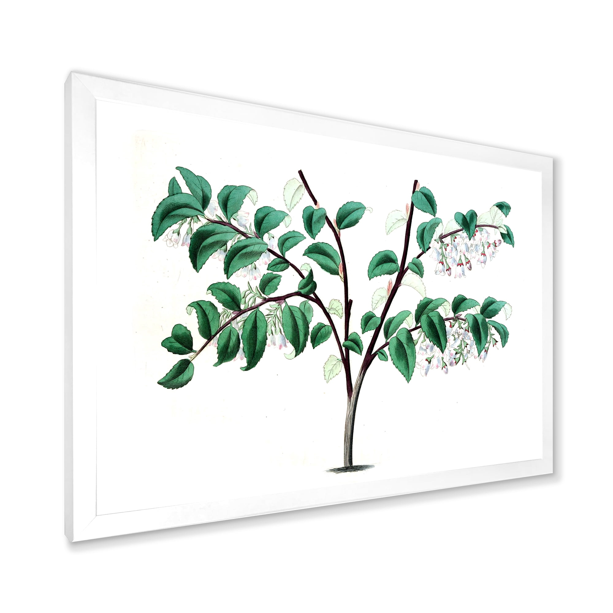 Designart 'Ancient Green Leaves Plants I' Traditional Framed Art Print