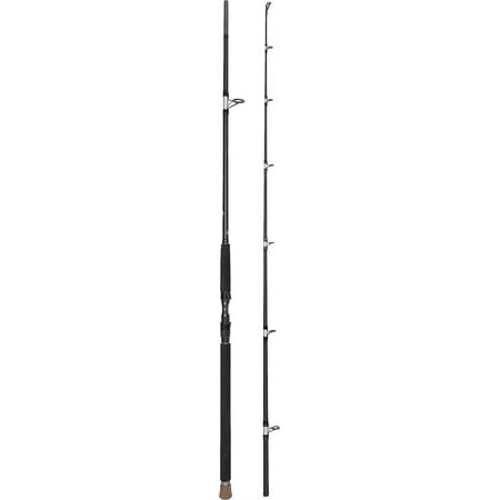 BLUEWING Bluewater Spinning Fishing Rod 2 Pieces Carbon Fiber Fishing Rod with Stainless Steel Guides and Ergonomic Handle for Inshore Fishing Bottom Fishing Jigging Offshore Fishing 8'2"