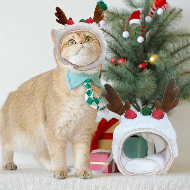 Fiudx Gorro Navideño para Mascotas, Diseño Festivo, Ajustable y Cómodo, de Terciopelo Suave, Fácil de Usar, Apto para Perros y Gatos Pequeños y Medianos, Perfecto para Fiestas Navideñas, Tamaño 12 X