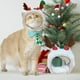 thumbnail image 5 of Disfruta de la Navidad con este Sombrero de Fiesta para Perros, Disfraces de Navidad, Adornos de Navidad, Sombrero Ajustable, Accesorio de Juego para Perros, Perfecto para Fiesta de Navidad,, 5 of 6