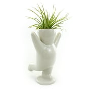 NW Wholesaler - Live Air Plant & Ceramic Cheering Person Vase | House Plant