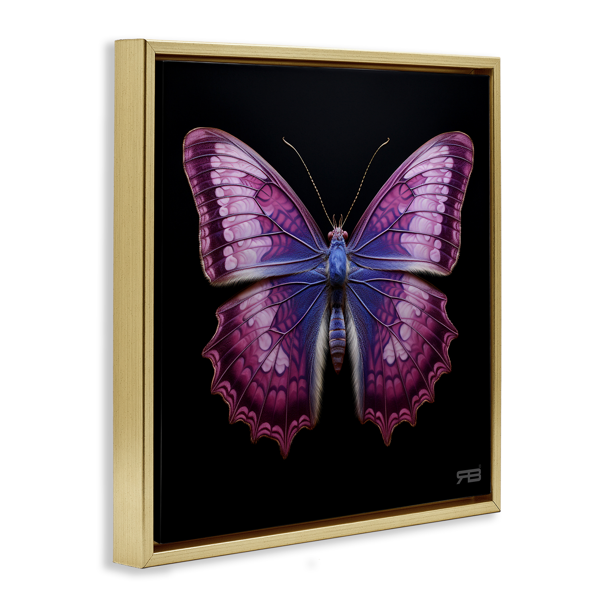 Stupell Industries Vivid Purple Butterfly Animals & Insects Painting Gold Floater Framed Canvas Art Print Wall Art, 25 x 25