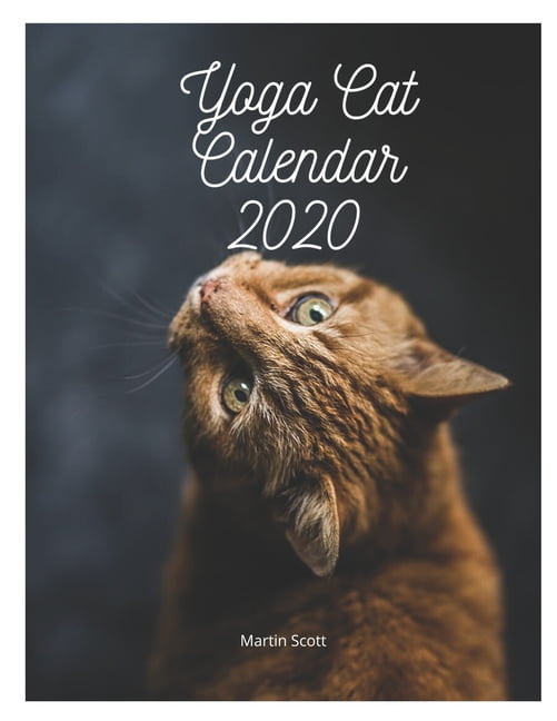 Yoga Cat Calendar 2020 Yoga Cat Position Yoga cat calendar, Yoga