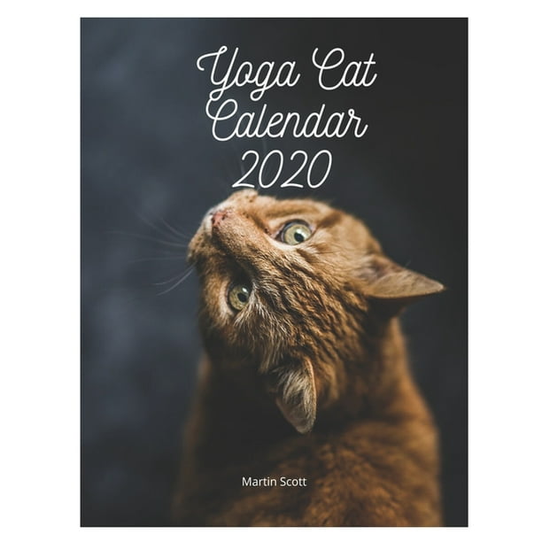 Yoga Cat Calendar 2020 - Yoga Cat Position : Yoga cat calendar, Yoga