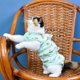thumbnail image 1 of Pet Rehabilitation Clothing (M) Post-Operative Clothes Cat Surgery After Recovery Suit Anti-licking Puppy Small Dog Cat Accessories, 1 of 4