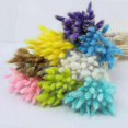thumbnail image 2 of 50 Piece Rabbit Tail Grass Bunny Tails Dried Flowers Plant Stems, 2 of 3