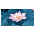 thumbnail image 2 of Blooming Pink Lotus Flower - Oversized Beach Canvas Artwork, 2 of 3
