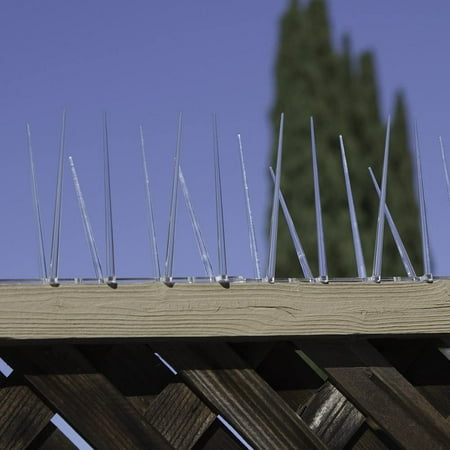 Bird-B-Gone Bird Repelling Spikes Kit For Large Birds, 20 - 1' Clear Plastic Spike Strips