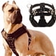 thumbnail image 2 of Arnés para perros grandes, arnés para perros pitbull, collar para perros grandes, venta al por mayor, correa, chaleco para perros, productos de moda para mascotas, accesorios, 2 of 5