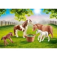 thumbnail image 1 of Playmobil Ponies Playmobil, 1 of 2