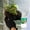 3Pcs Plant Growth Booster Under $5 a1, variant on Kadlawus Plant Nutrient Solution for Potted Plants, 100ml Green Plant Food, Flower Revitalizer Liquid for Preventing Rot, Indoor Plant Care for Flowers and Foliage