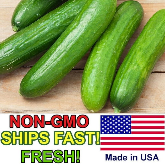 Spacemaster BUSH Cucumber Seeds | Non-GMO | Fresh Vegetable Garden Seeds USA